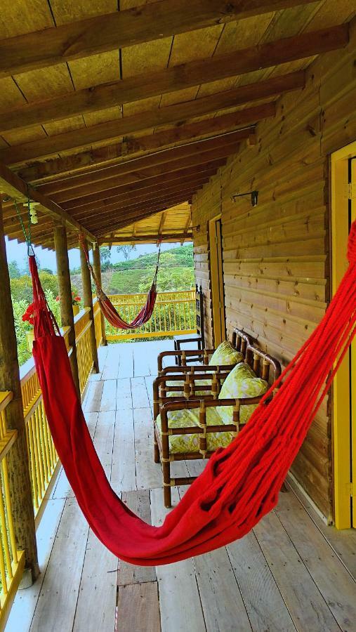 La Casa Del Sol Guest House Jardin Ngoại thất bức ảnh